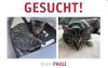 Gesucht: Kater Pauli